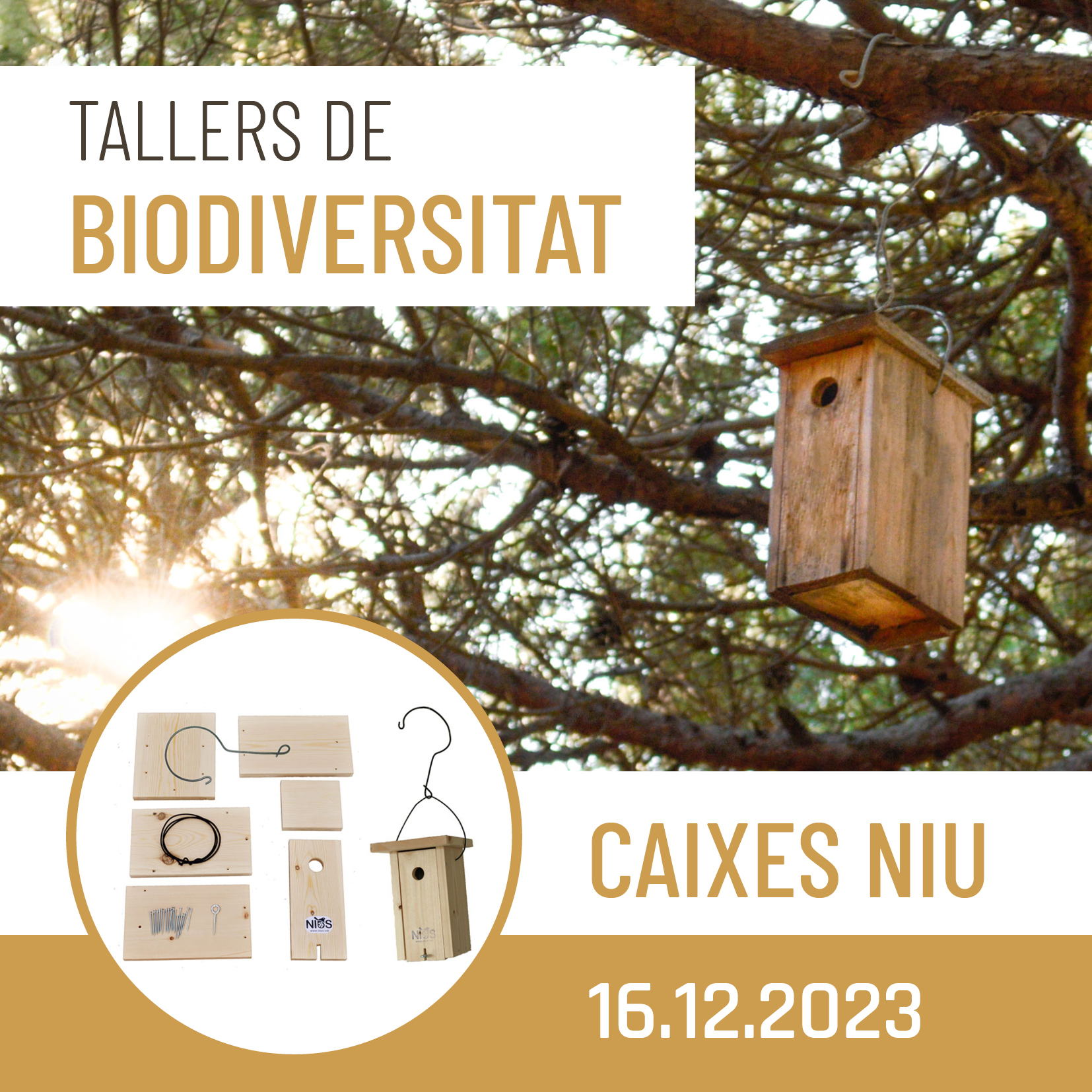 Tallers de Biodiversitat (I) – Caixes niu