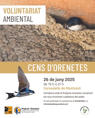 Cens d’oreneta cuablanca 2025