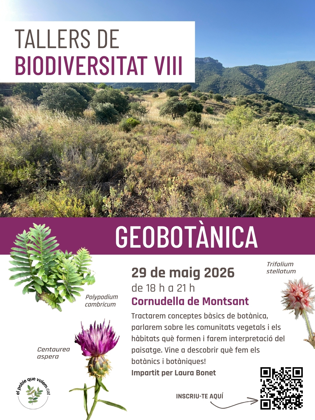 Tallers de biodiversitat VIII – Geobotànica